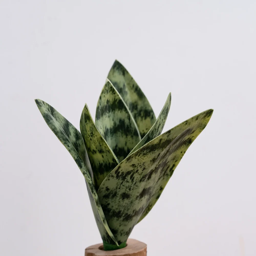 Dark mottled artificial snake plant pick of banded upright leaves bound at one stem, styled on a table top