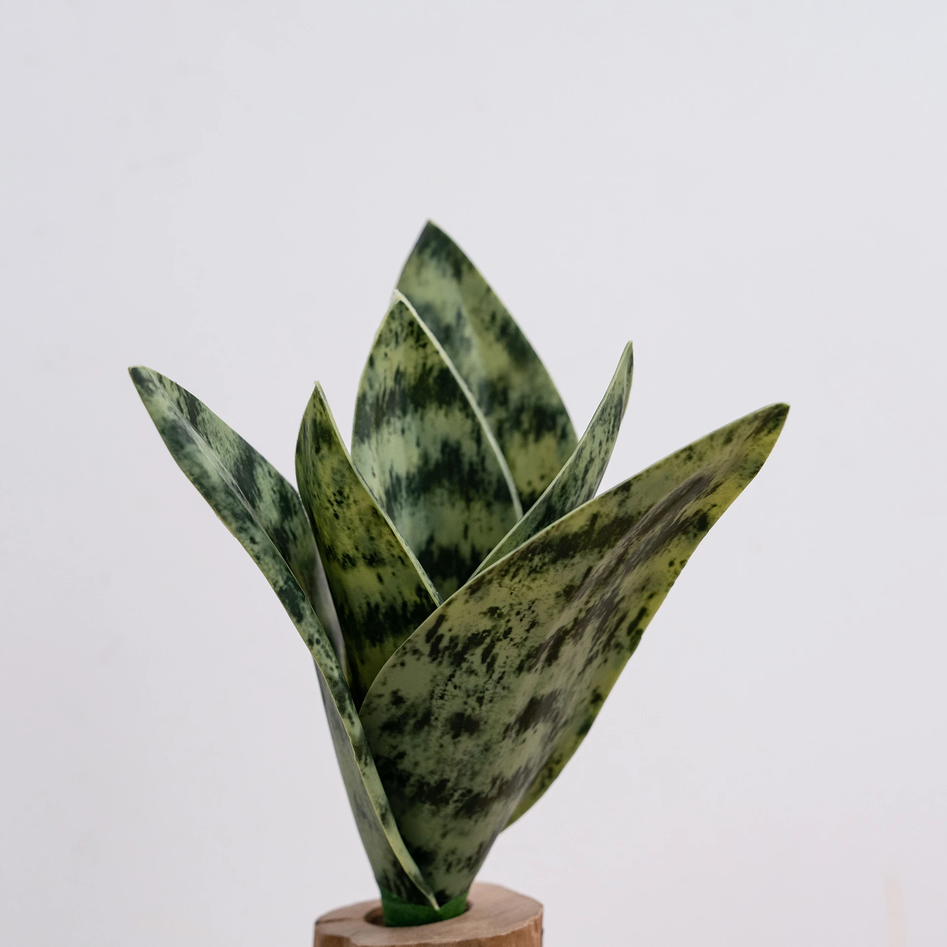 Dark mottled artificial snake plant pick of banded upright leaves bound at one stem, styled on a table top