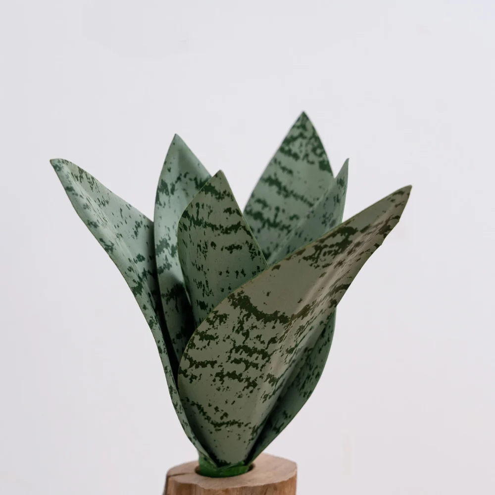 Grey green artificial snake plant pick of banded upright leaves bound at one stem, styled on a table top