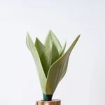 Artificial Snake Plant Pick 2