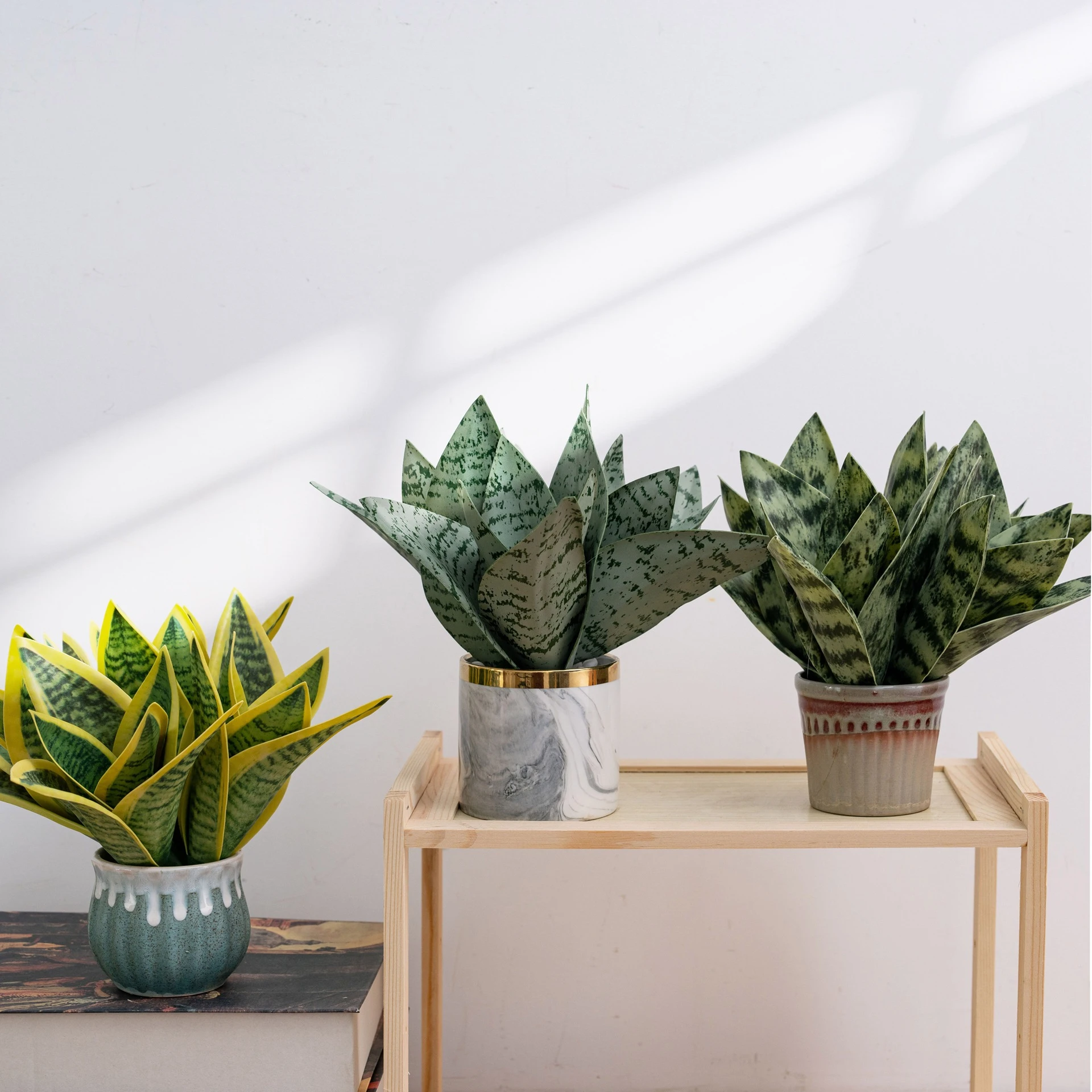 Three potted, styled artificial snake plant pick of banded upright leaves bound at one stem, styled in a room setting