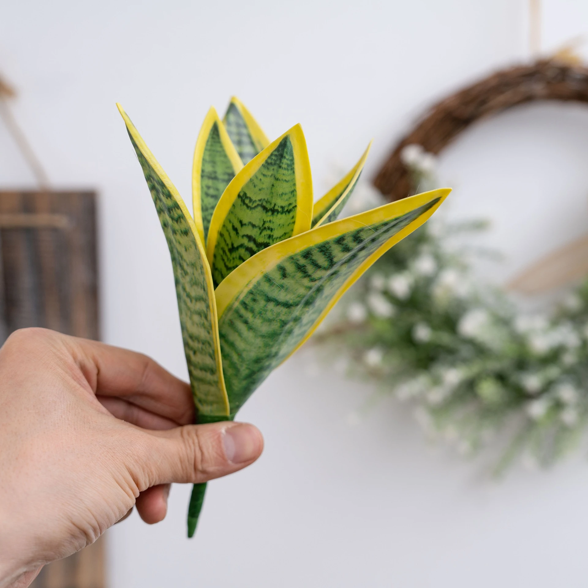 Yellow edged, held artificial snake plant pick of banded upright leaves bound at one stem, held in one hand