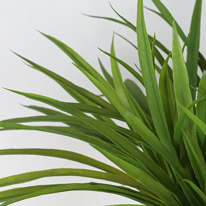 Detail artificial tall grass plant as a dense tuft of long narrow blades shown close up