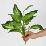 Artificial Tropical Leaf Bush 5