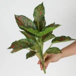 Artificial Tropical Leaf Bush 3