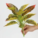 Artificial Tropical Leaf Bush 1