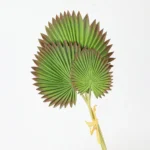 Artificial Tropical Leaf Stems 3