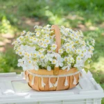 Artificial Daisy Basket 2