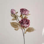 Dried Look Artificial Peony Stem 1
