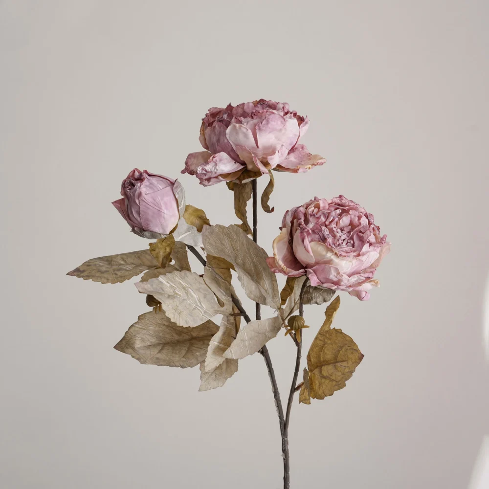 Dusty pink dried look artificial peony stem carrying three blooms and a bud on one stem