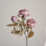 Dried Look Artificial Peony Stem 3