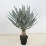 Potted Artificial Agave 3