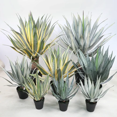 Five sizes together potted artificial agave finished in a plain black grower's pot with the full colour range