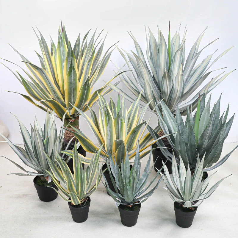 Five sizes together potted artificial agave finished in a plain black grower's pot with the full colour range