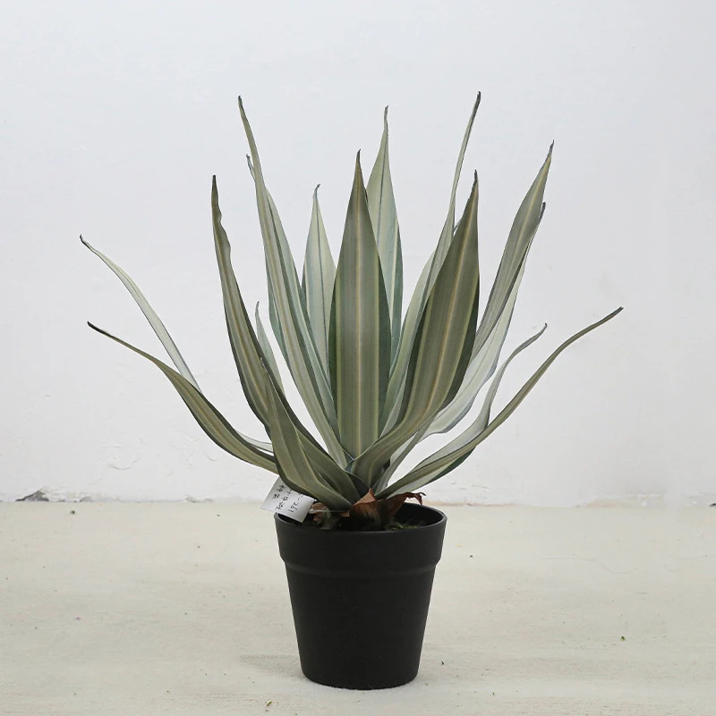 Frosted white margin potted artificial agave finished in a plain black grower's pot
