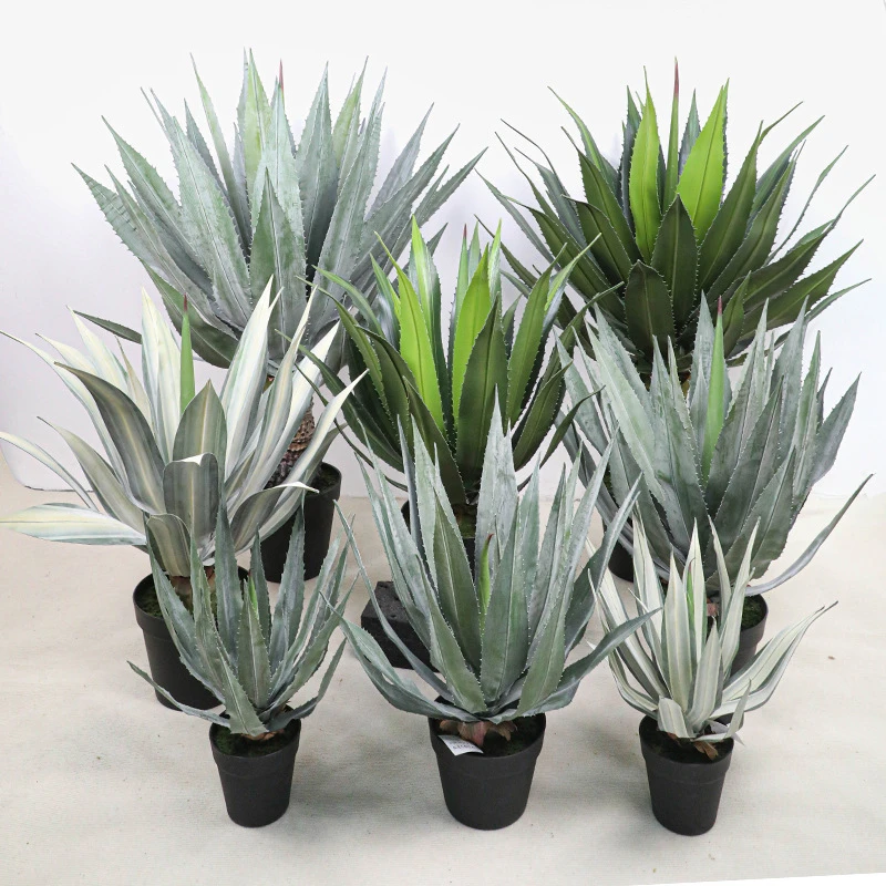 Full colour lineup potted artificial agave finished in a plain black grower's pot with the full colour range