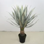 Potted Artificial Agave 1