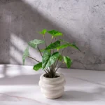 Small Potted Artificial Plant 4