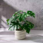 Small Potted Artificial Plant 6