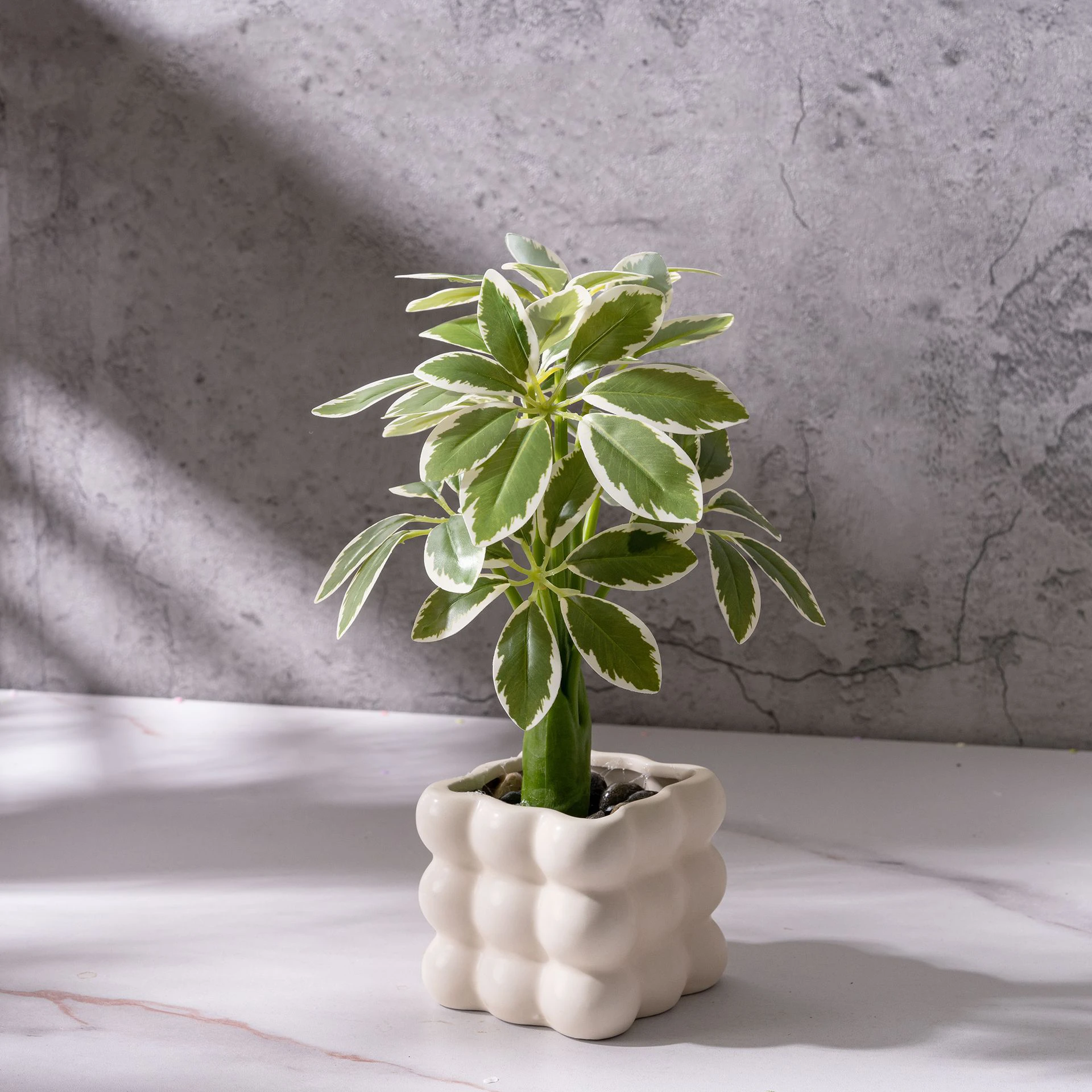 Variegated schefflera small potted artificial plant finished in a glazed ceramic pot